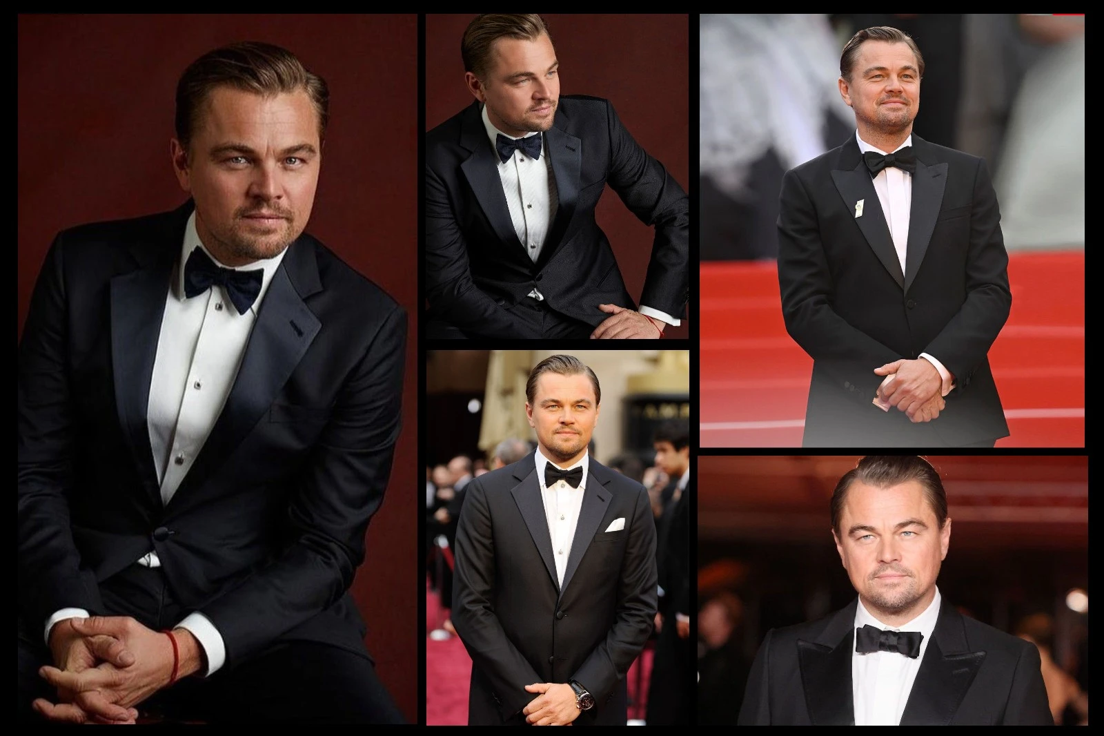 leonardo-dicaprio-short-introduction