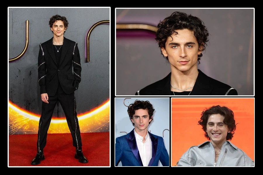 timothee-chalamet